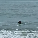 Amaranta By Bloss * Ostende